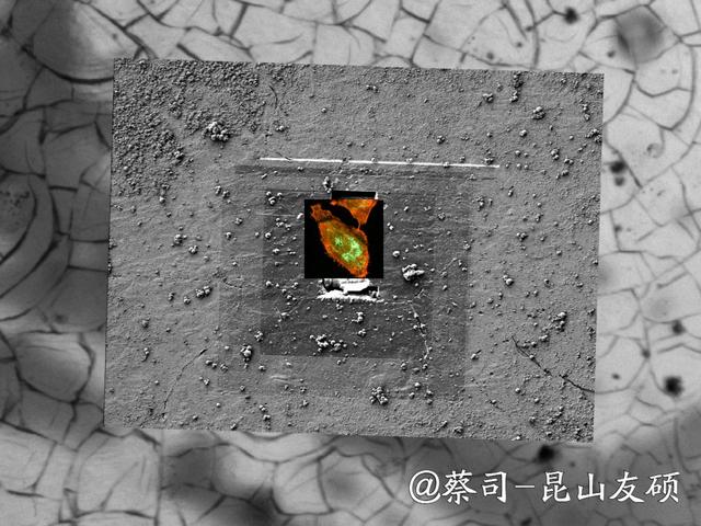 浦东浦东蔡司浦东扫描电镜