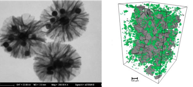 浦东浦东蔡司浦东扫描电镜